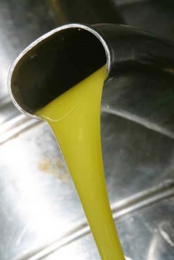 ANTICO FRANTOIO CIABARRA, Olive oil