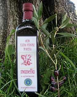 Bottiglia olio extravergine di oliva biologico