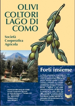 Olivicoltori Lago di Como Società Cooperativa agricola, Storia