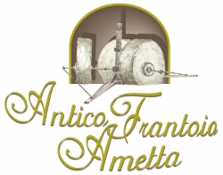 Antico Frantoio Ametta, Azienda