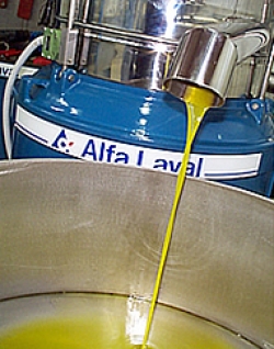 Avanzi Agricola srl, Olive mill