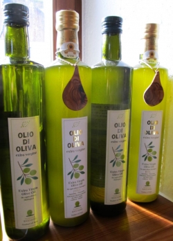 Tenuta Basciano di Boris Colazzilli, Olio di oliva