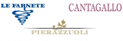 Tenuta Cantagallo e Le Farnete di D. Pierazzuoli, Azienda